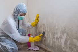 Best Industrial Mold Remediation  in St Augustine South, FL